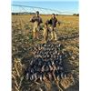 Image 6 : 10-Day Elite South Africa Safari Hunt for 2