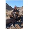 Image 1 : NEVADA HERITAGE DESERT BIGHORN SHEEP TAG