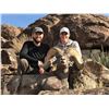 Image 4 : NEVADA HERITAGE DESERT BIGHORN SHEEP TAG