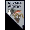 Image 6 : NEVADA HERITAGE DESERT BIGHORN SHEEP TAG