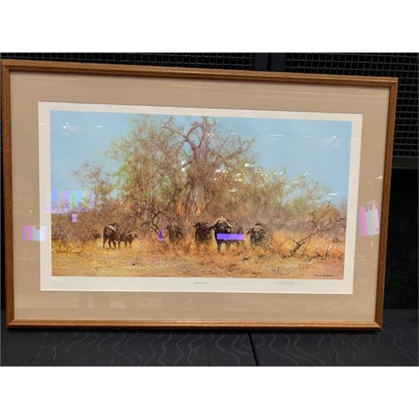 Cape Buffalo Print
