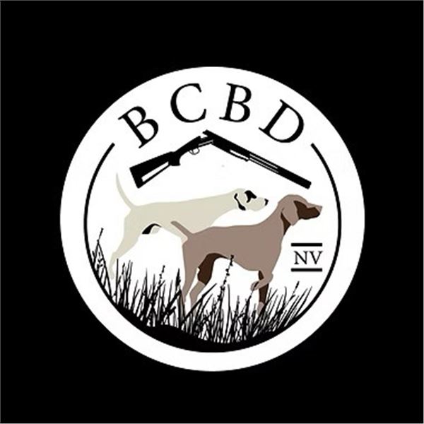 Bird Dog Training from Burnt Creek Bird Dogs