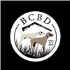 Image 1 : Bird Dog Training from Burnt Creek Bird Dogs