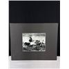 Image 6 : 3 Matted Black and White Photos - 10" x 16"