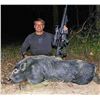 Image 2 : Cold Water Outfitters - Texas Wild Hog Hunt for Two