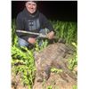 Image 3 : Cold Water Outfitters - Texas Wild Hog Hunt for Two