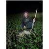 Image 4 : Cold Water Outfitters - Texas Wild Hog Hunt for Two