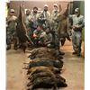 Image 5 : Cold Water Outfitters - Texas Wild Hog Hunt for Two
