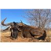 Image 3 : Tally-Ho Safaris - South Africa Plains Game Safari for Two Hunters