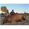 Image 1 : Trek Africa Hunting - Sable or Roan Hunt in South Africa