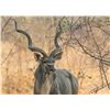Image 3 : Khomas Highland Hunting Safaris - Namibia Plains Game Safari