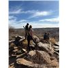 Image 6 : Khomas Highland Hunting Safaris - Namibia Plains Game Safari