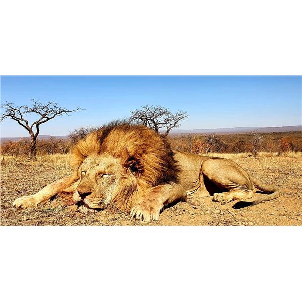 Mbogo Hunting Safaris - South Africa Plains Game Safari for Four