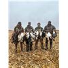 Image 4 : Cold Water Outfitters - North Dakota Waterfowl Hunt for Two
