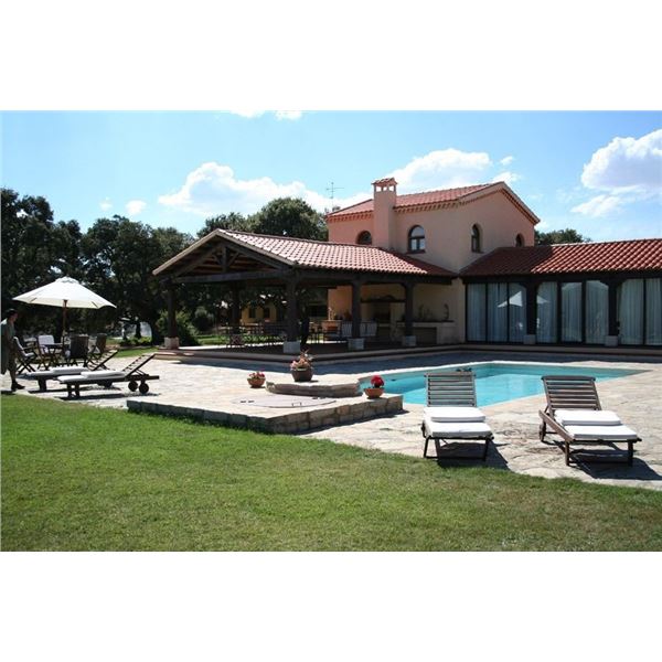 Spanish Trophy Hunt - Fallow Deer, Mouflon, Roe Deer, or Red Stag