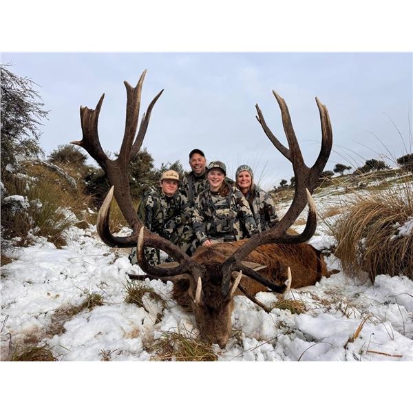 Leithen Valley Hunts - New Zealand Red Stag Hunt