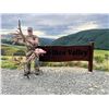 Image 3 : Leithen Valley Hunts - New Zealand Red Stag Hunt