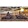Image 1 : Umziki Hunting Safaris - Trophy Reedbuck or Bushbuck Hunt