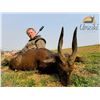 Image 2 : Umziki Hunting Safaris - Trophy Reedbuck or Bushbuck Hunt