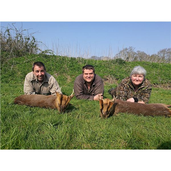 Hunt 'n Seek - United Kingdom Trophy Muntjac Hunt