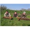 Image 1 : Hunt 'n Seek - United Kingdom Trophy Muntjac Hunt