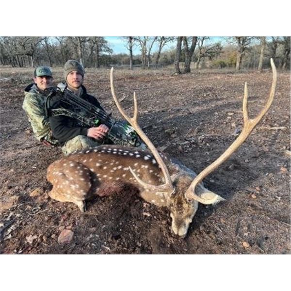 Madubula Safaris - Texas Blackbuck & Axis Deer Hunt