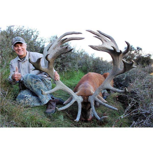 New Zealand Horn & Antler Safaris