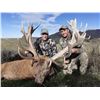 Image 2 : New Zealand Horn & Antler Safaris