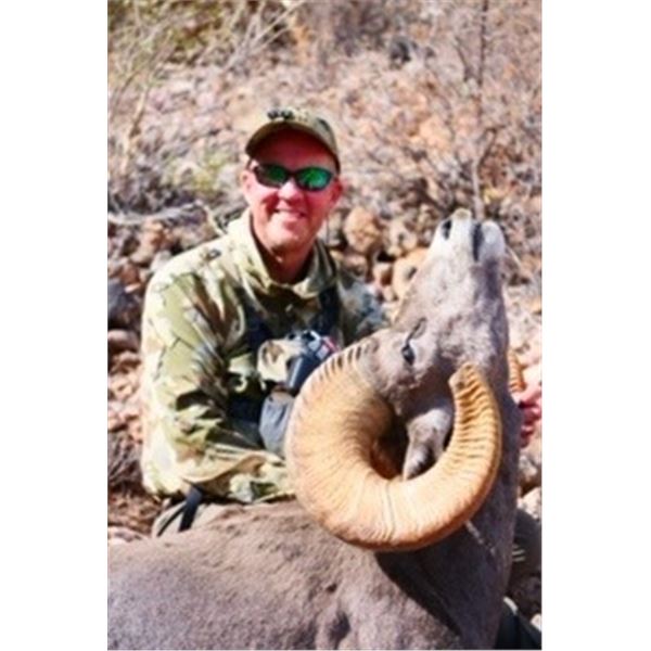 Tiburón Island Desert Bighorn Sheep Hunt