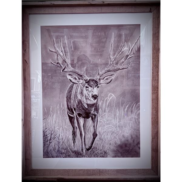 Original Mule Deer Pencil Art