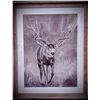 Image 1 : Original Mule Deer Pencil Art