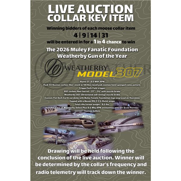 Key Item - Collar #4 LAST CHANCE!