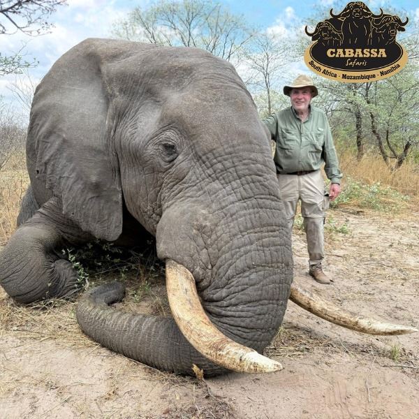 Botswana Exportable Trophy Elephant Hunt