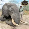Image 1 : Botswana Exportable Trophy Elephant Hunt