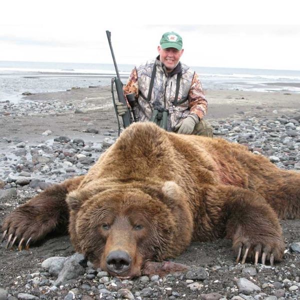 Unimak Brown Bear Alaska Governor's Tag