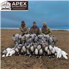 Image 2 : Fully Guided Waterfowl and Sandhill Crane Hunt for 6 Hunters in Saskatchewan