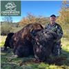Image 5 : California Trophy Plains Bison Hunt