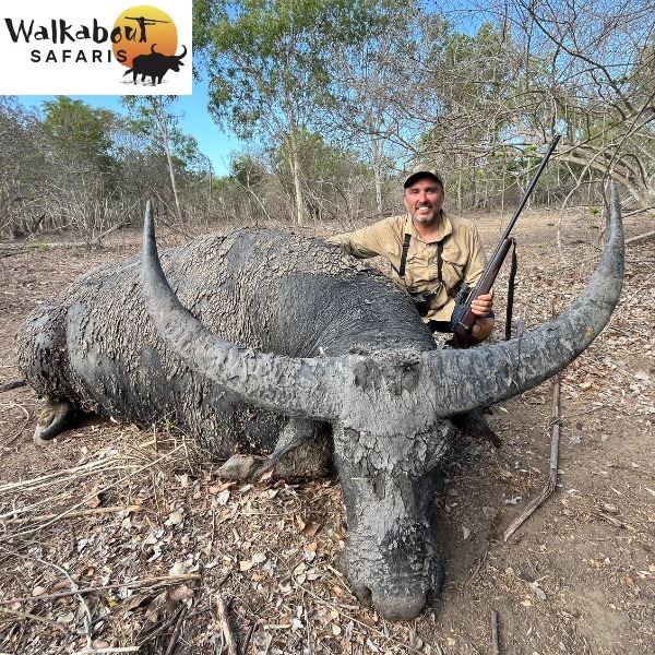 Australia Trophy Buffalo Hunt