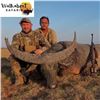 Image 3 : Australia Trophy Buffalo Hunt