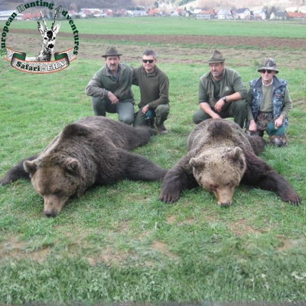 Croatian Brown Bear Hunt for One Hunter and One Observer