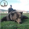 Image 3 : Croatian Brown Bear Hunt for One Hunter and One Observer
