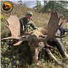 Image 1 : Eastern Canadian Trophy Moose Hunt