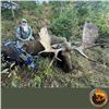 Image 3 : Eastern Canadian Trophy Moose Hunt