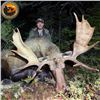 Image 4 : Eastern Canadian Trophy Moose Hunt