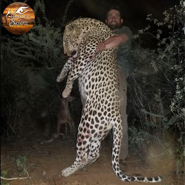 Namibia Trophy Leopard Safari for One Hunter