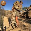 Image 6 : Namibia Trophy Leopard Safari for One Hunter