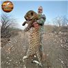 Image 7 : Namibia Trophy Leopard Safari for One Hunter