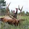 Image 2 : Nebraska Game and Parks 2026 Statewide Bull Elk Permit