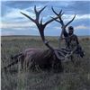 Image 4 : Nebraska Game and Parks 2026 Statewide Bull Elk Permit
