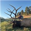 Image 5 : Nebraska Game and Parks 2026 Statewide Bull Elk Permit